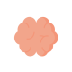 Brain